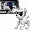 IR Robopes Junior