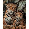 ZUTY Maľovanie podľa čísel - LEOPARD A MLÁĎA Rámovanie: bez rámu a bez vypnutia plátna, Rozmer: 80x100 cm