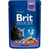 BRIT Premium CAT kaps. Adult Cod Fish 100 g