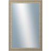 DANTIK - Zrkadlo v rámu, rozmer s rámom 40x60 cm z lišty LYON strieborná (2704)
