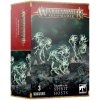 Warhammer Age of Sigmar: Nighthaunt - Spirit Hosts