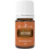 Young Living Valerian esenciálny olej 5 ml