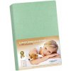 Bellatex Prestieradlo Jersey s elastanom svetlo zelené 120x200