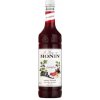 MONIN Grenadina 1 liter