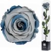 Darčeková stabilizovaná ruža - svetlo-tmavo modrá (Darčekové balenie, Light blue/Dark blue)