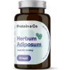 Protein a Co Herbum adiposum Urýchľovač metabolizmu na prírodnej báze 60 kapsúl
