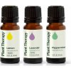 Plant Therapy Trio esenciálnych olejov citrón, levanduľa, mäta 3 x 10 ml