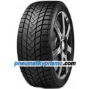 Osobná pneumatika Delinte WD6 205/50 R17 93H