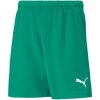 Puma teamRISE Short Jr 704943