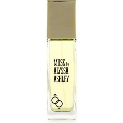 Alyssa Ashley Musk toaletná voda unisex 100 ml