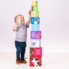 Bigjigs Toys Didaktické kocky farma