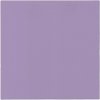 PAW Obrúsky Airlaid Monocolor Violet 40x40cm