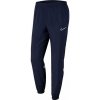 Dětské kalhoty Nike Dri-FIT Academy 21 - Academy 21 - 3429747