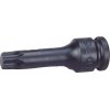 Trebor Hlavica 1/2&quot T30 TRX priemyselná zástrčná H78T30
