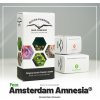 DUTCH PASSION Amsterdam Amnesia® semena neobsahují THC 10 ks