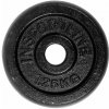 Insportline Liatinový kotúč Castblack 1,25 kg 30 mm
