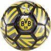 Puma Borussia Dortmund BVB 09 lopta