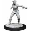 WizKids D&D Nolzur's Marvelous Miniatures Shifter Rogue Female