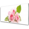 Sklenený obklad Do kuchyne Ruže kvety príroda 100x50 cm