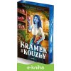 E-kniha Krámek s kouzly - Sarah Beth Durst