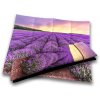 Dynasit Traveler Levander 350 x 260 x 15 mm