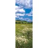 Komar Vliesová fototapeta Meadow 100 x 280 cm