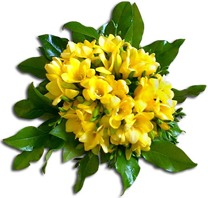 Kytica Voňavé frézie, malá (13 kvetov)