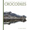 Crocodiles (Valerie Bodden)(Brožovaná)