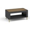 Dolmar Konferenčný stolík MORASS MO9 | čierna