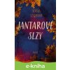 E-kniha Jantarové slzy - Sofía Segovia