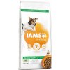 IAMS Dog Adult Small&Medium Lamb 12 kg