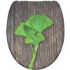 Schütte WC sedadlo GINGKO und WOOD | Duroplast, Soft Close