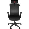 Genesis ergonomické herní křeslo ASTAT 700 černé (NFG-1945)