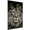 Vertikálny moderný obraz fotografie na akrylu Lev 50x100 cm