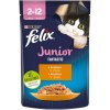 Felix Fantastic Junior kura v želé 85 g