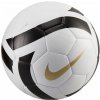 Nike LEGACY ELITE