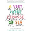 Very Large Expanse of Sea