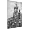 Vertikálny foto obraz akrylový do obývačky Krakov Poľsko 50x100 cm