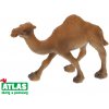 Atlas B Velbloud jednohrbý 11 cm (W101916)