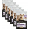 Pro Plan Kitten Healthy Start morka 6 x 85 g