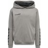 Hummel AUTHENTIC KIDS POLY HOODIE 204931-2006