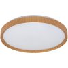 RABALUX 3500 Sherwood LED stropné svietidlo