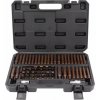 KROFtools 60-dielna sada bitov, Torx, XZN, Imbus, Ribe, Štvorhran (6160)