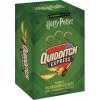 QUIDDITCH EXPRESS (JEU) (TP) (COLLECTIFS JEUNESSE)(Hra)