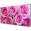 Obraz na skle Ruže kvety rastlina 100x50 cm