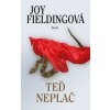 Teď neplač - 5. vydání - Joy Fieldingová