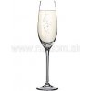 Tescoma pohár na šampaňské Sommelier 6ks 210ml
