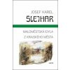 Maloměstská idyla - Josef Karel Šlejhar