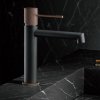 Imex BDD038-1GC LINE stojanková umývadlová batéria sivá matná/champagne