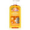PAPOUTSANIS Karavaki Shine & Vitality šampón na lesk a hebkosť vlasov 600 ml